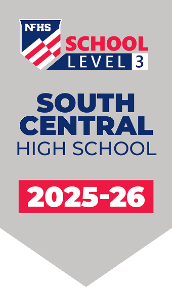 Level 3
