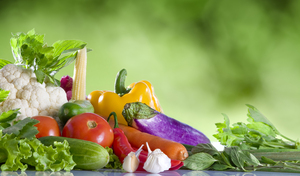 Original a guide to sports nutrition 1
