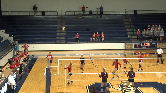 Collecting Statistics: Volleyball