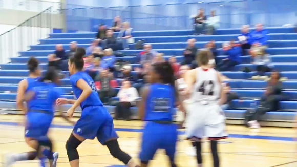 Coaching Mental Wellness